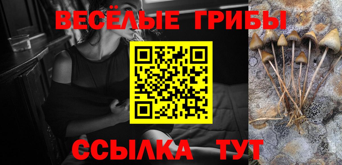 Псилоцибиновые грибы GOLDEN TEACHER Коммунар