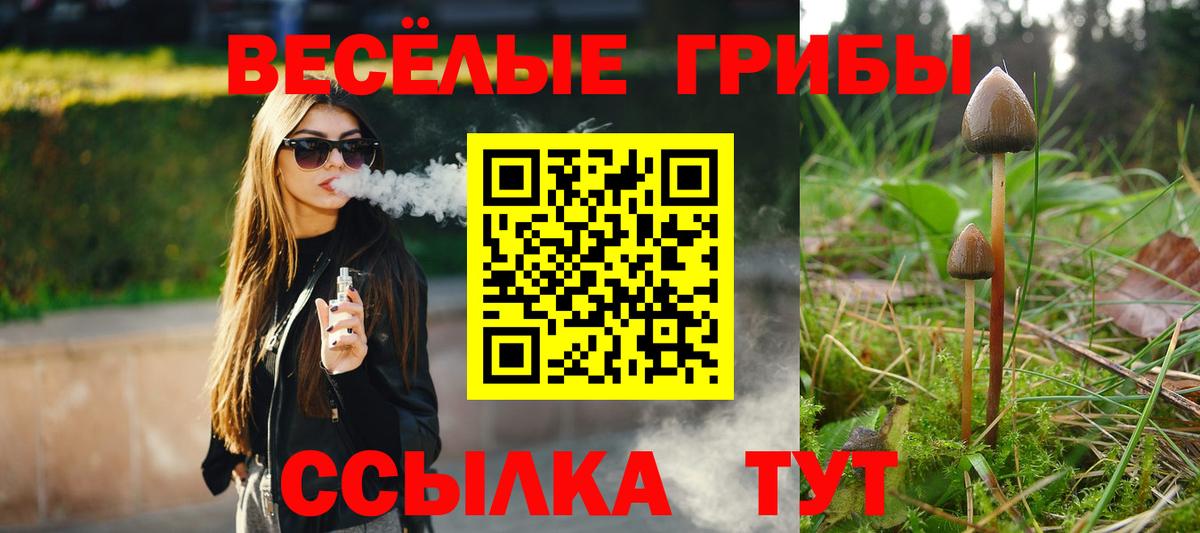 Псилоцибиновые грибы MAGIC MUSHROOMS  Галлюциногенные грибы Psilocybe  Коммунар  Вход с VPN 